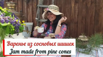 Варенье из сосновых шишек.Jam made from pine cones.Укрепление иммунитета